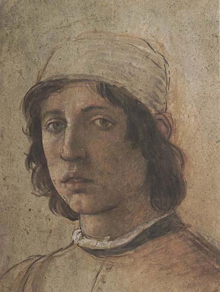 Filippino Lippi Self-Portrait oil painting image